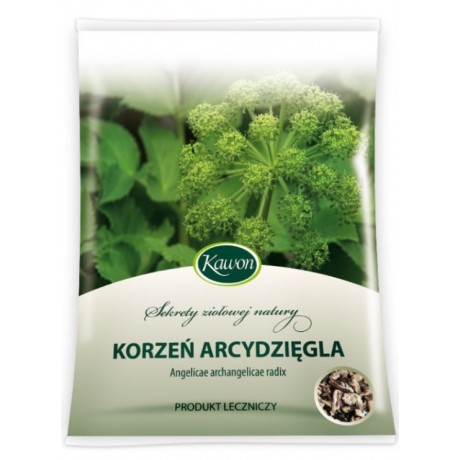 Arcydzięgiel korzeń 50g KAWON