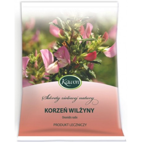 Wilżyna korzeń 50g KAWON