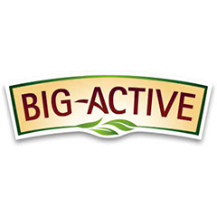 BIG-ACTIVE